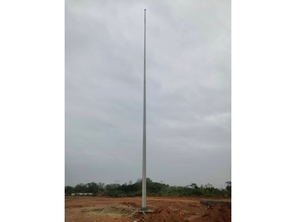 手動，23.9米1根，江西省宜春市靖安縣滕王閣食品有限公司